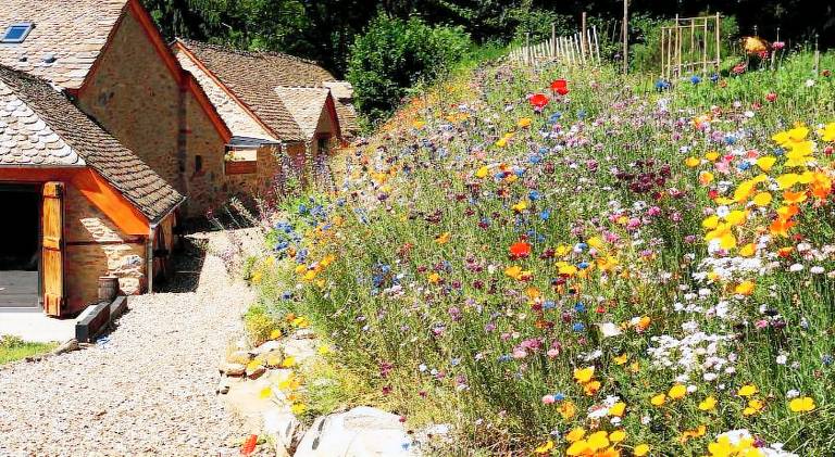Domaine des Marequiers chambre Silene — photo 4