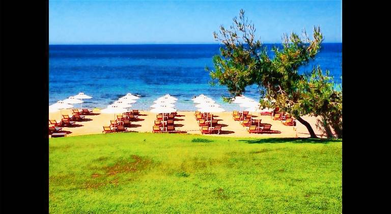 Wonderful serviced apartment with terrace & garden | Beach nearby | Pets allowed — photo 5