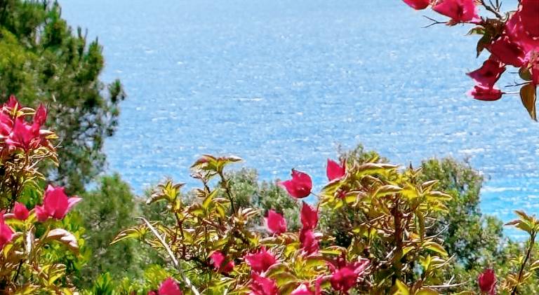 Beautiful house | Beach nearby | Pets allowed in Propriano