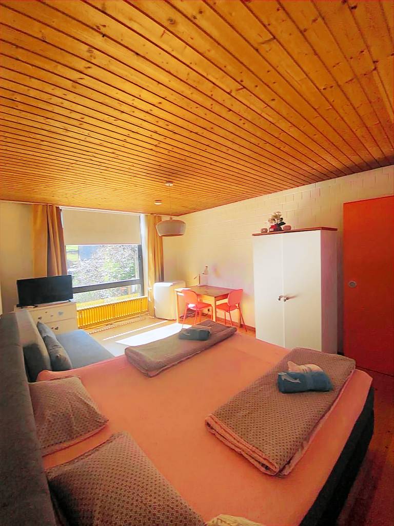 Ferienhaus  Ziegelhausen