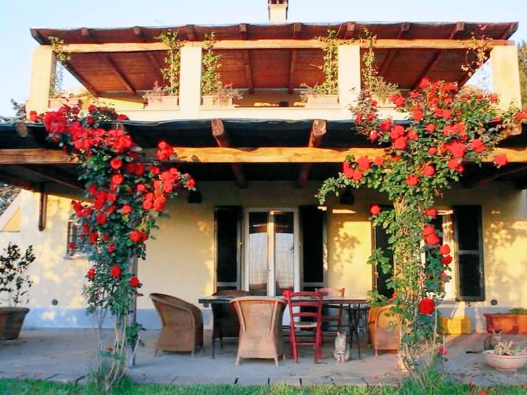 Holiday apartment with terrace, yard & grill — photo 2