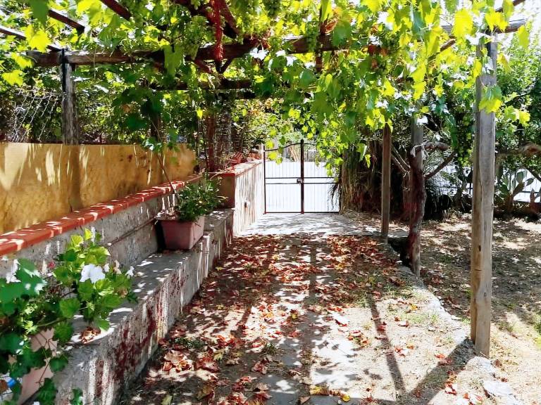 Family-friendly house with garden | Dogs allowed — photo 2