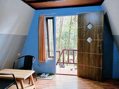 foto1