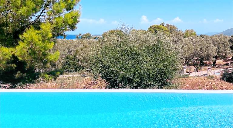Villa with pool — photo 5