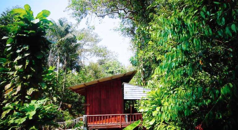 bed & breakfast Ko Kut