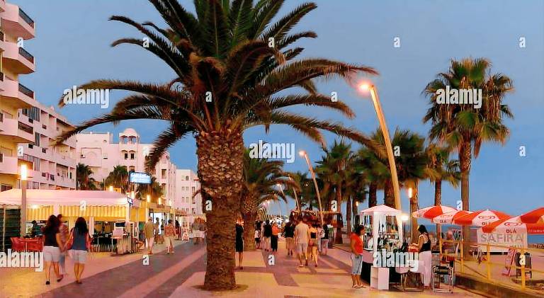 Lovely holiday apartment with terrace | Next to the beach | Pet-friendly — photo 2