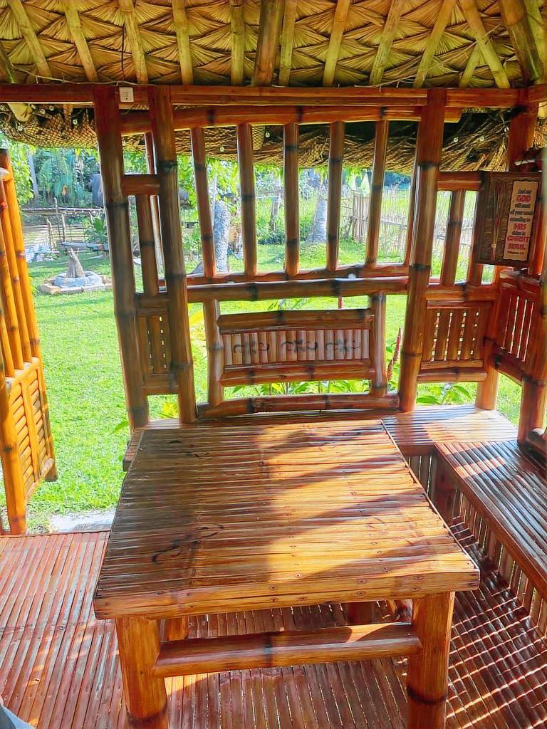 foto6