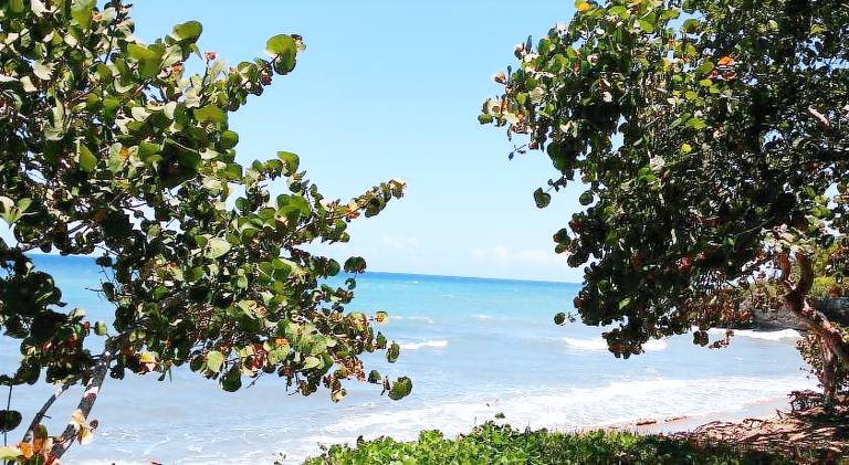 Koko and Suzy's ocean dream — photo 3