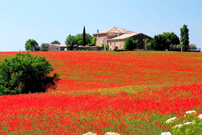 Longère Valensole