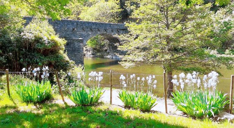 Camping Chantemerle in Mende