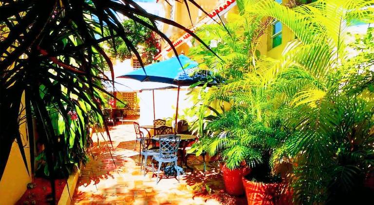 Canario Boutique Hotel — photo 4