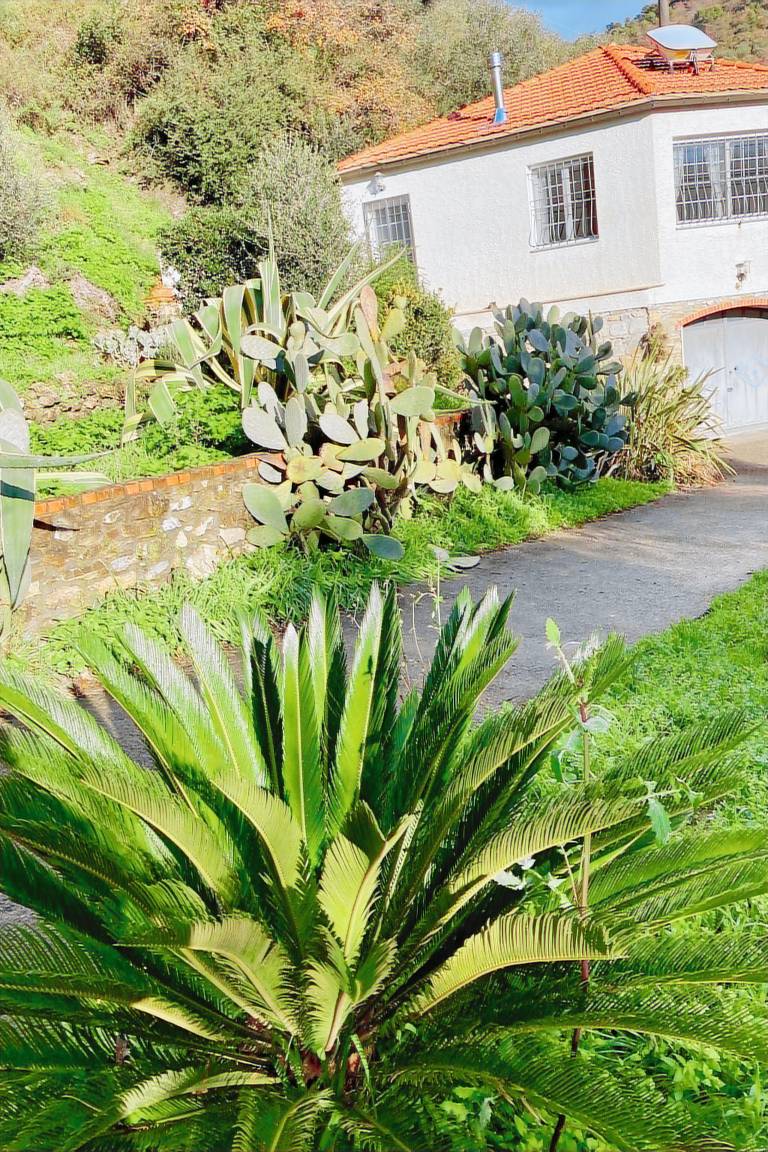House with barbecue, yard & terrace | Mountain view — photo 2