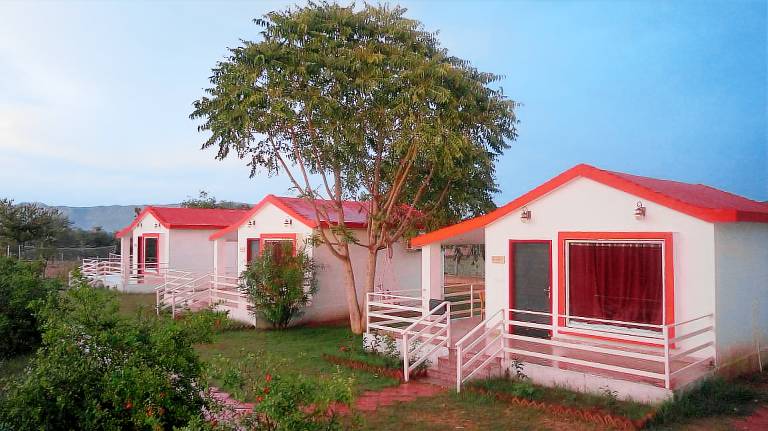 Wow relish in the Wild in Alwar