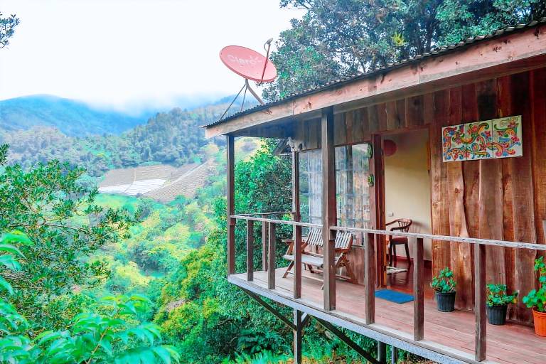 House Cabuyal