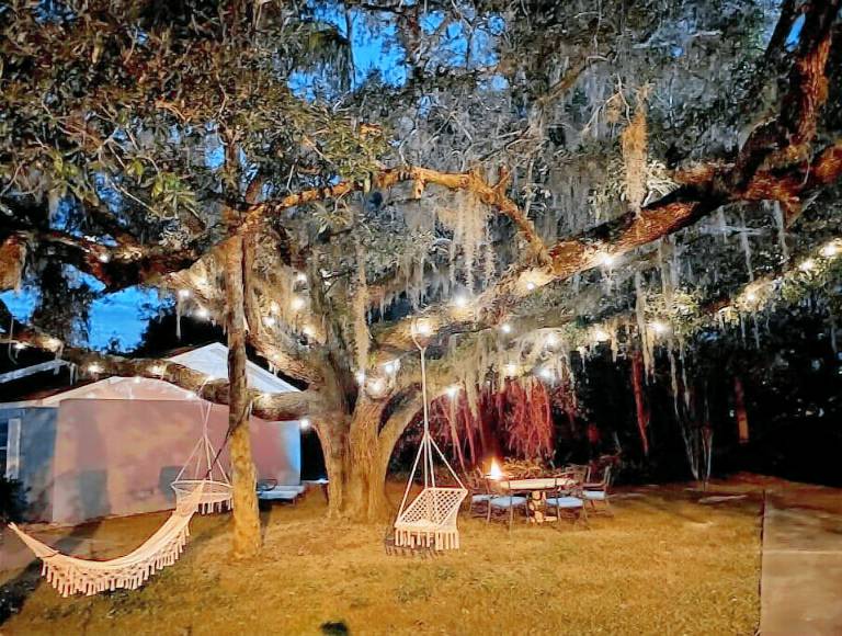 House Homosassa
