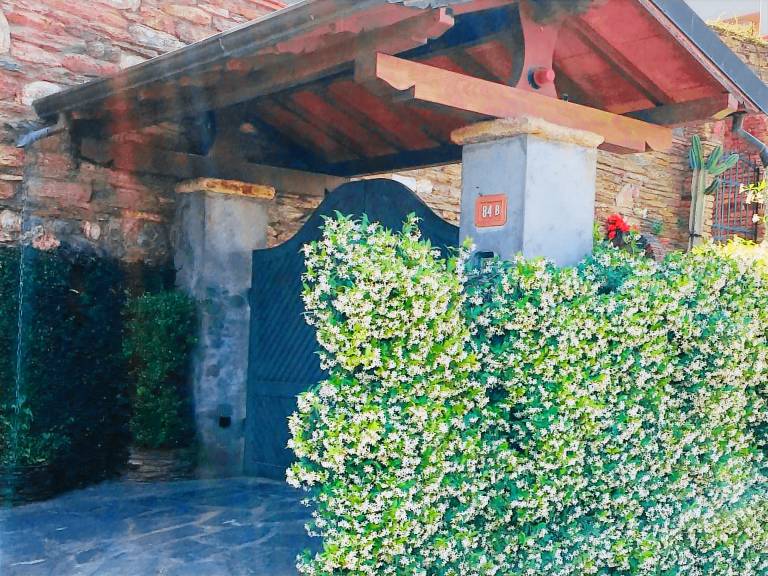 Fully equipped lovely holiday apartment with garden & barbeque | Nature view | Dogs allowed — photo 3