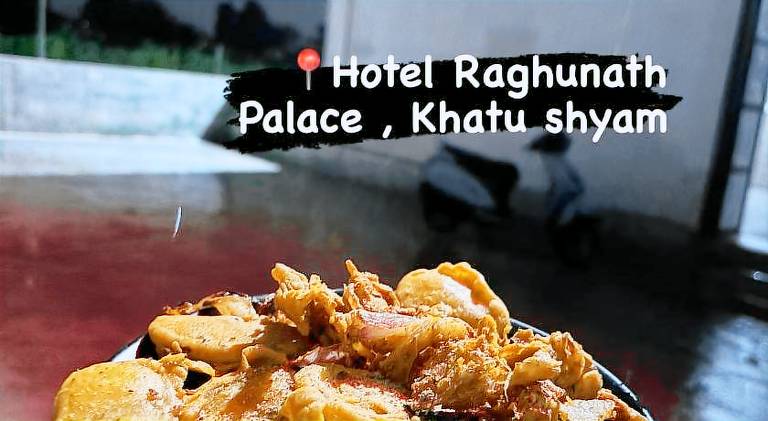 Hotel Raghunath Palace — photo 4