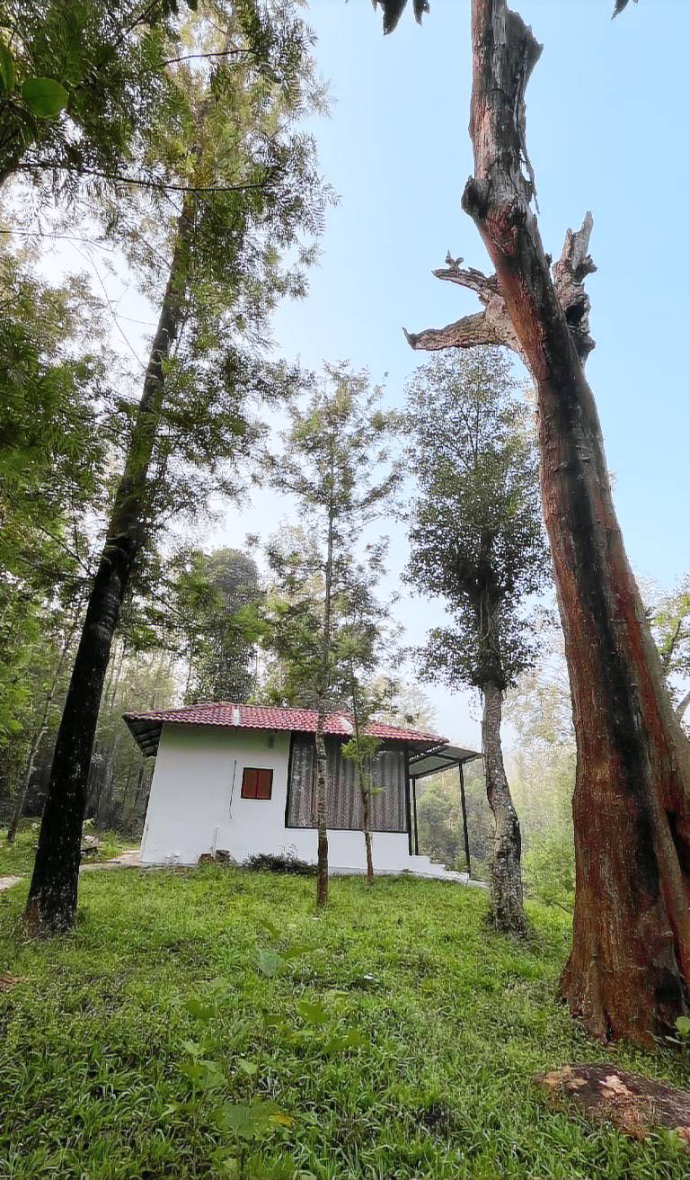 NATURE STREAM HOMESTAY