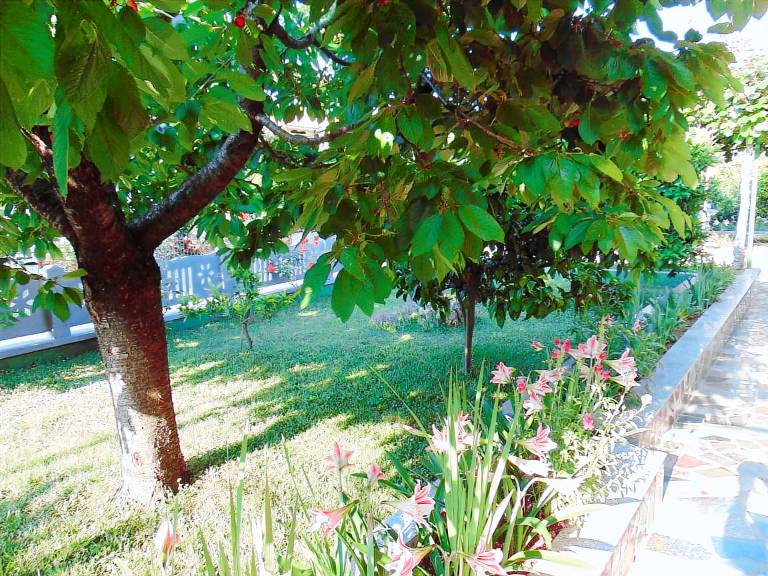 Holiday apartment with yard, grill & terrace | Pets allowed — photo 2