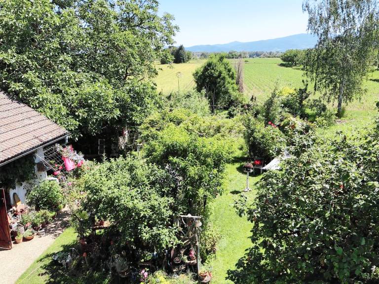 Ferienwohnung  Achern