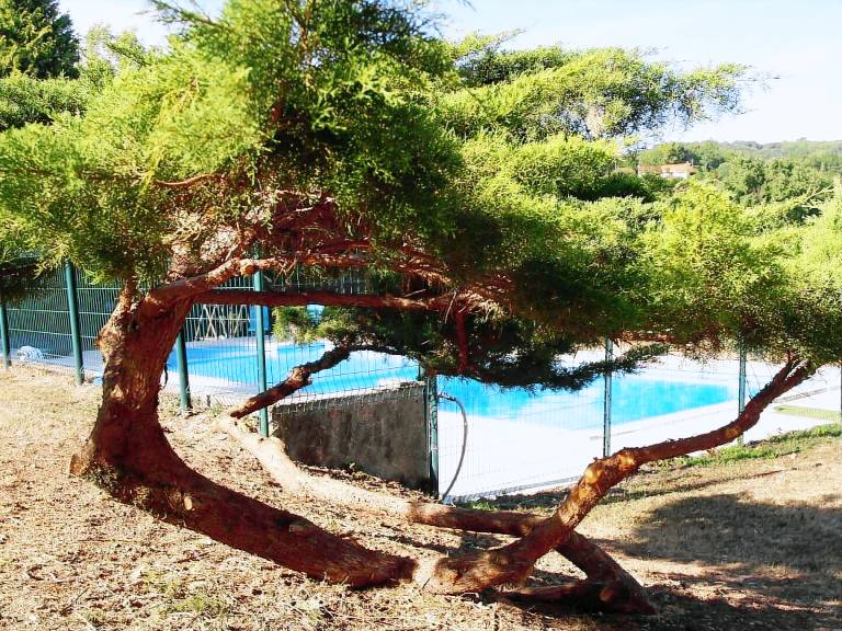 Maison de vacances Saint-Salvy-de-la-Balme