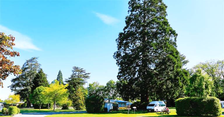 Geraldine TOP 10 Holiday Park