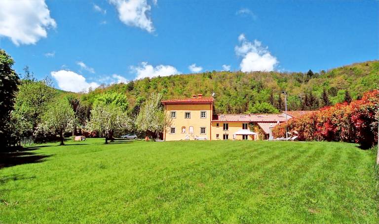 foto1