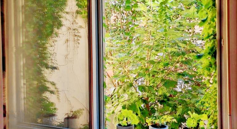 Holiday apartment | Close to Capitole de Toulouse — photo 4