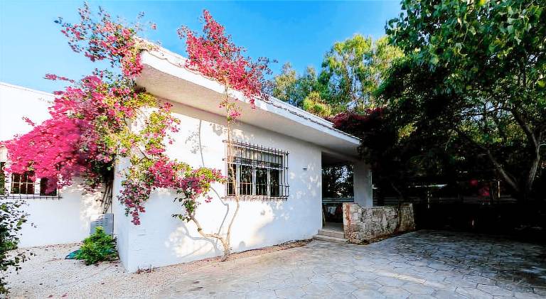 Villa with pool — photo 5