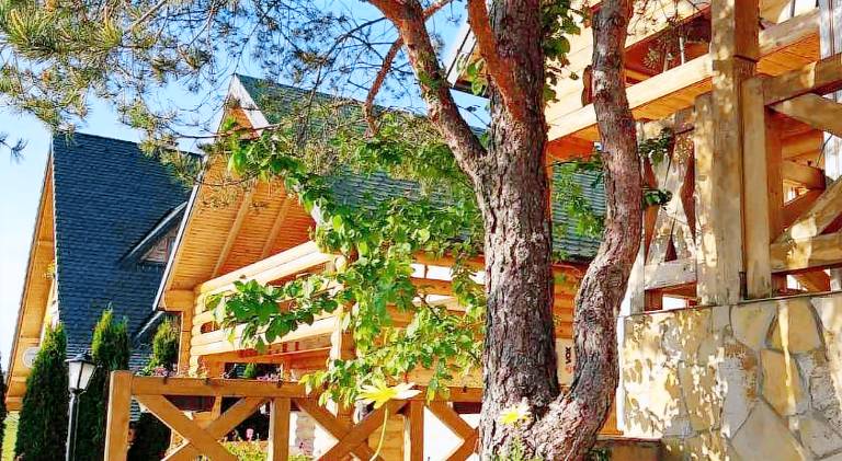API komora Zlatibor in Zlatibor