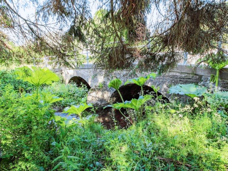 Cabin  Burnley District