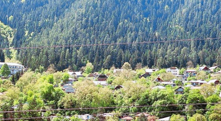 Wonderwood Borjomi Cottage — photo 4