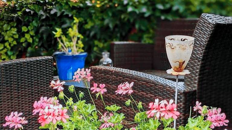 Ferienwohnung Pillnitz