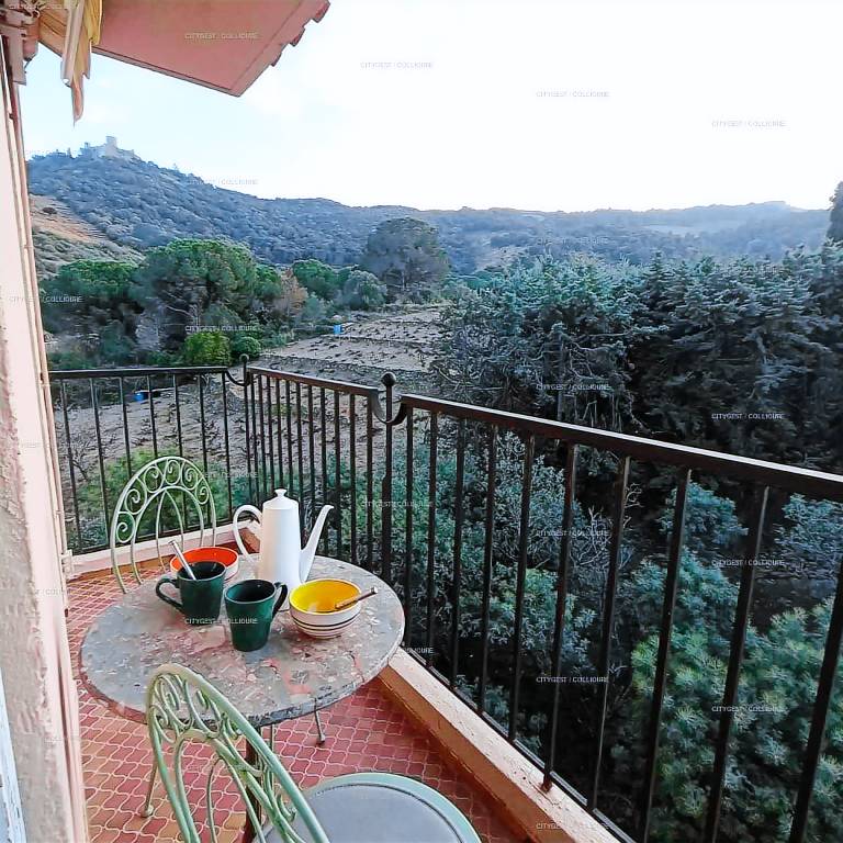 Rental apartment with terrace & pool | Beach nearby | Pets are welcome in Collioure