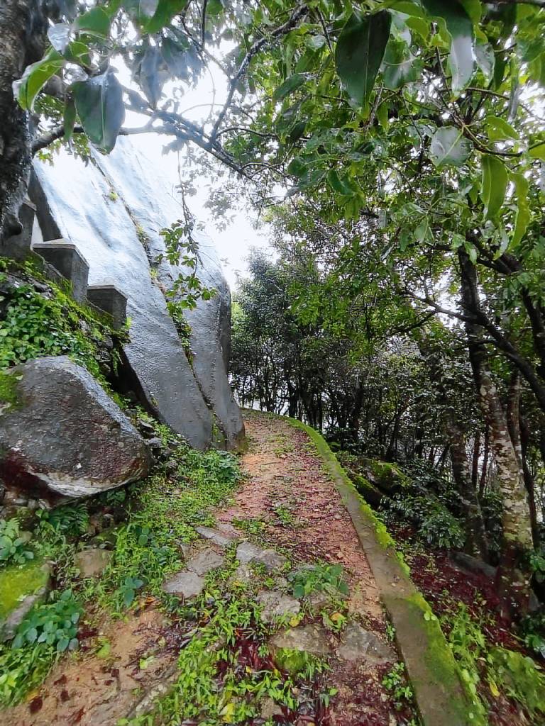 Cozy Camp Homestay — photo 3