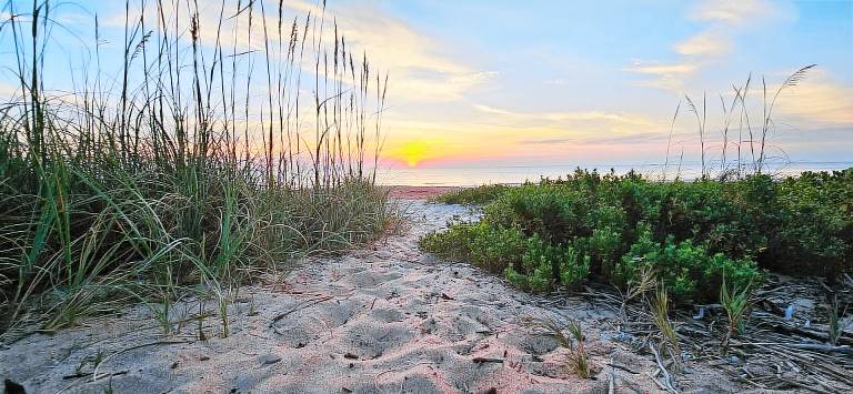 House Ormond Beach