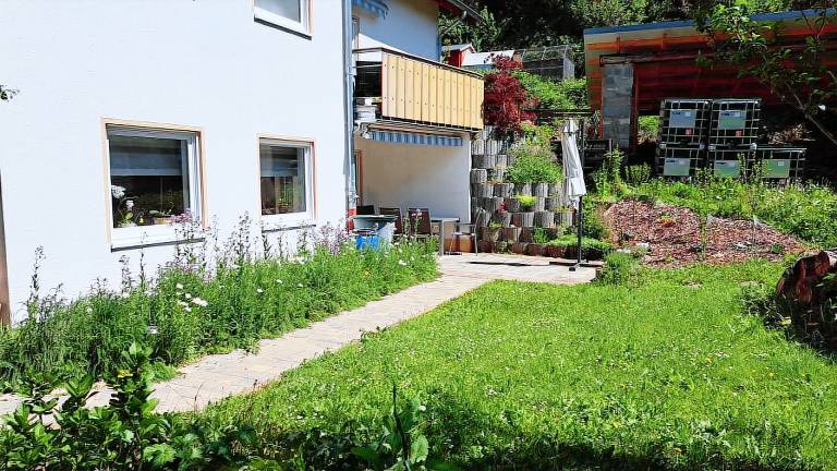foto1