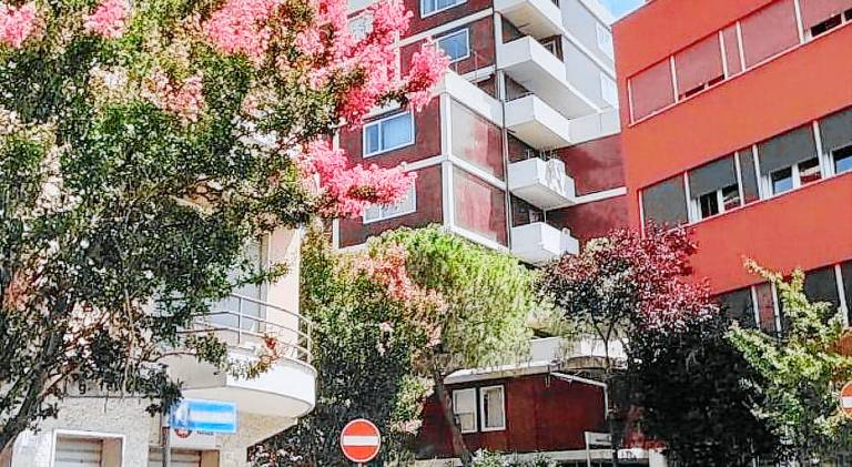 Holiday apartment | Dogs allowed — photo 4