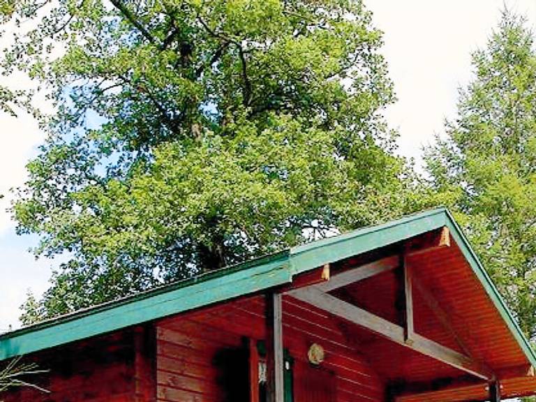 Chalet with pool — photo 4