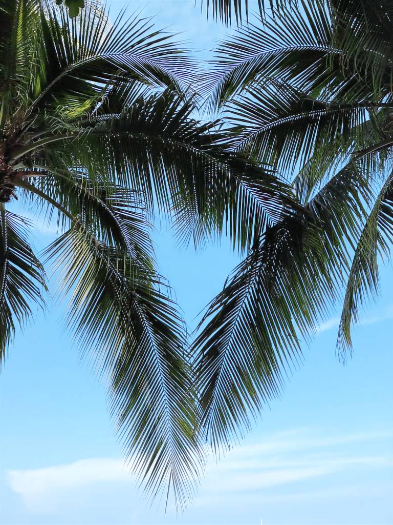 Condo  Vero Beach