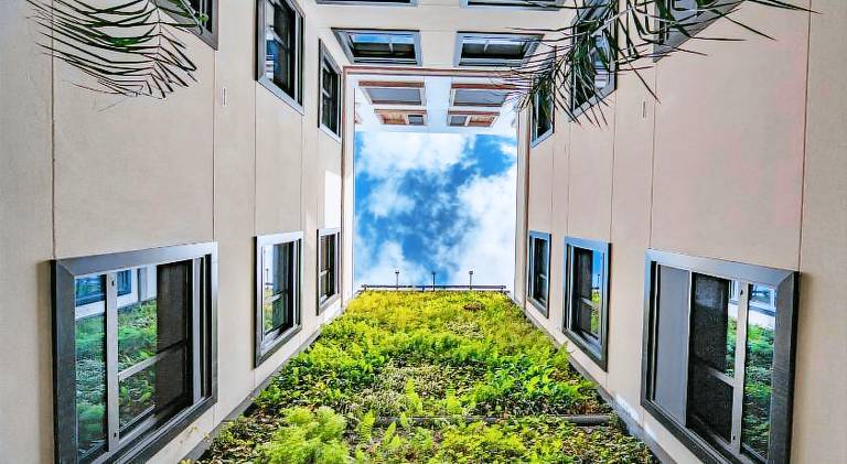Beautiful rental apartment | Next to the beach | Dogs allowed — photo 4