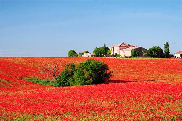 Maison de vacances  Riez