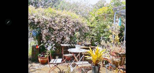 Bed and breakfast  Grayshott