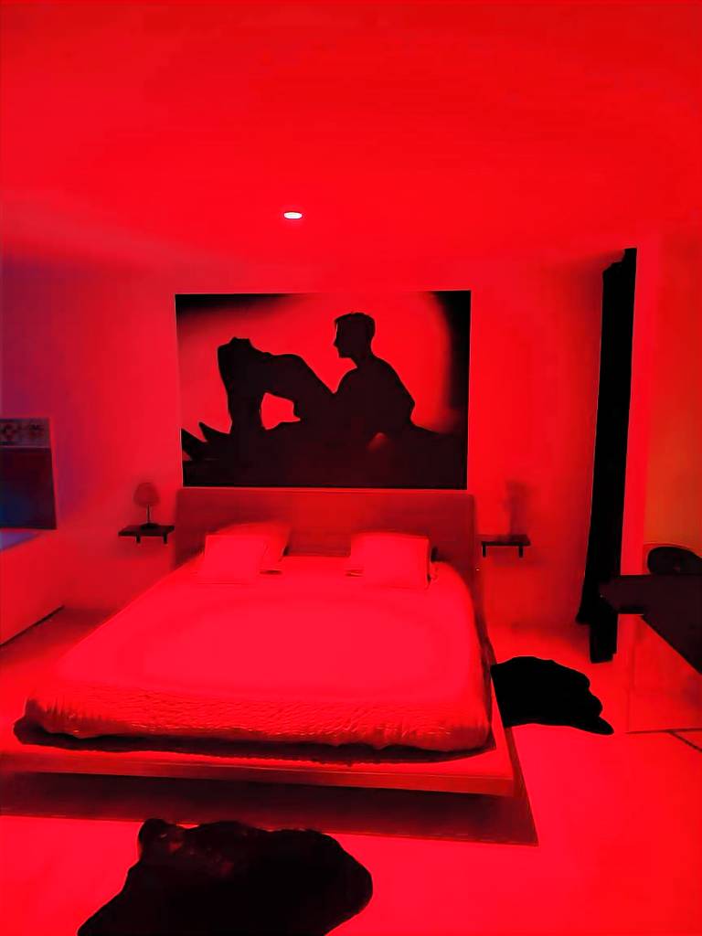 Romantic Suite: The Pleasure of the Senses — photo 5