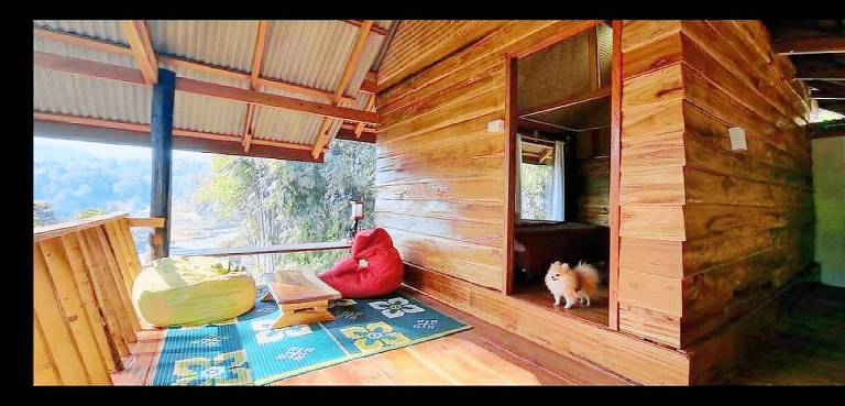 Bungalow with garden — photo 2