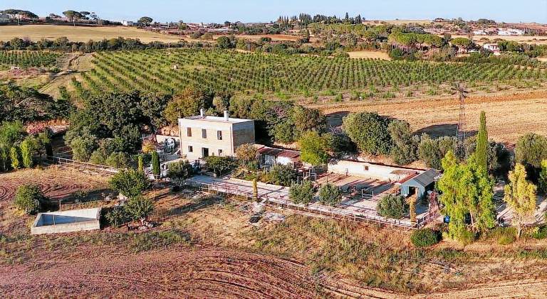 Farm with terrace & yard in Tarquinia