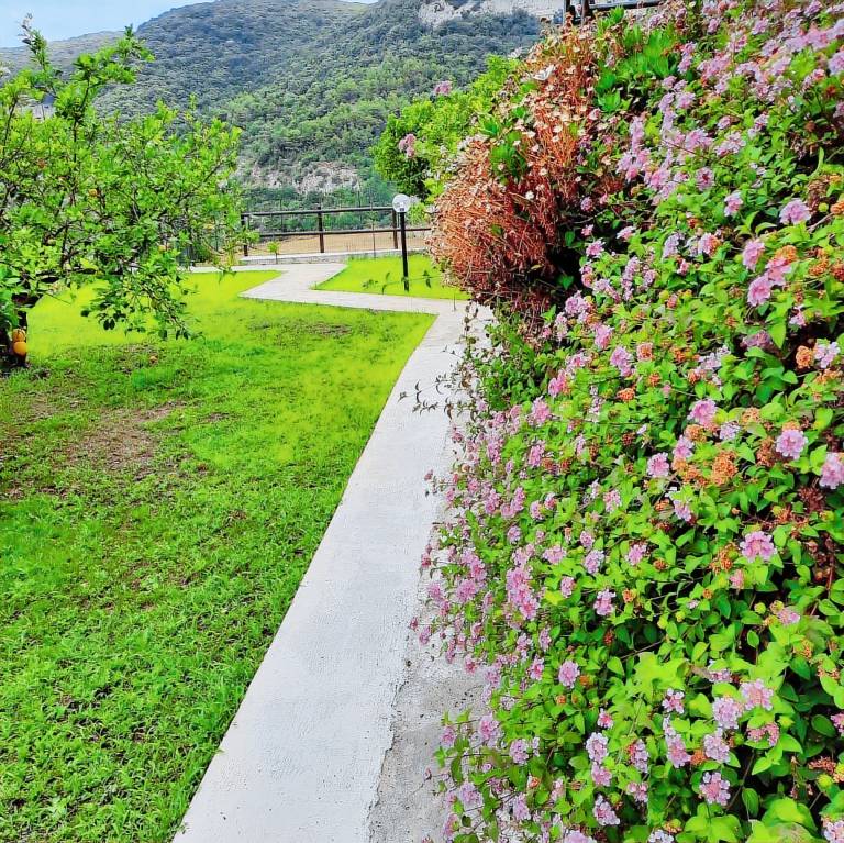 Le Case del Sole - prestigiosi rustici vista mare: Rustico 65mq — photo 4