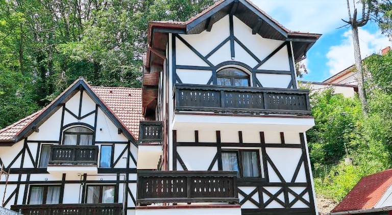 Apartament z hotelowymi udogodnieniami Sinaia