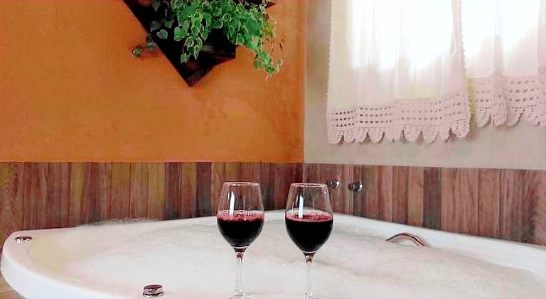 Lodge with garden & hot tub — photo 4