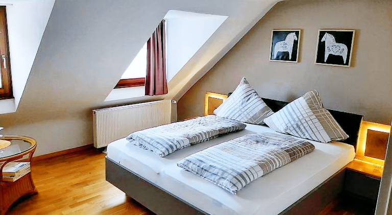 Big house | Dogs allowed in Trier